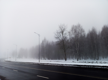 Forest in the road is all in a fog.の写真素材