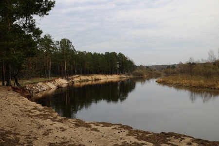 The steep bank of the river along the forest with a beautiful sky.の写真素材