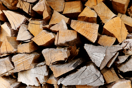 A stack of firewood of different species of trees close up.の写真素材