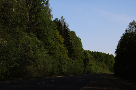 A view of the road along which a large green forest growsの写真素材