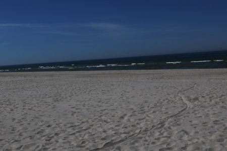 Beach on the Baltic Sea shore on a sunny day in Palangaの写真素材