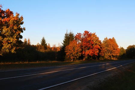 Bright colorful trees along the road in autumn.の写真素材