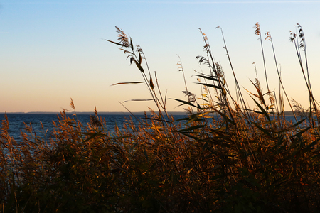 Summer field full of grass and sunset sky above. Beautiful sunset landscape.の写真素材