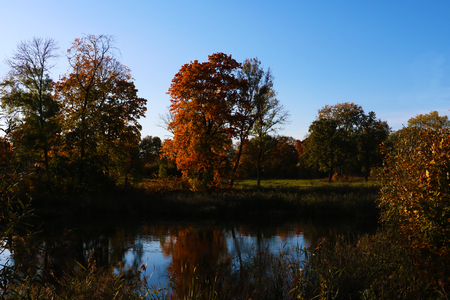 Reflection of beautiful trees in the water against the blue sky in autumn.の写真素材