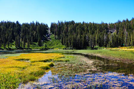 View of an overgrown lake surrounded by mountains and forests.の写真素材