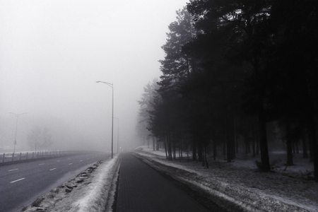 An asphalt road that goes through a misty dark misterious pine forest. French Alsaceの写真素材