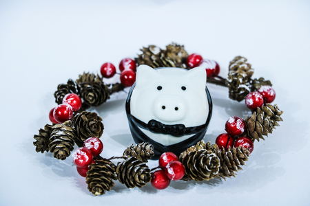 Christmas decoration and pig. On a white backgroundの写真素材