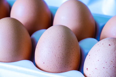 Yellow chicken eggs in a carton with empty space, backgroundの写真素材