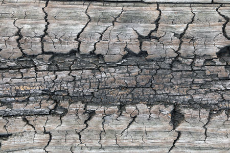 Wood texture. Lining boards wall. Wooden background patternの写真素材