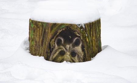 stump colorful painted outdoor decorative covered in snowの写真素材