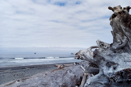 Beautiful Pacific Coastの写真素材