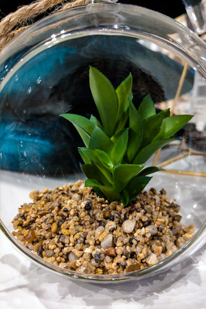 Decorative artificial flower in a transparent ball on a ropeの写真素材