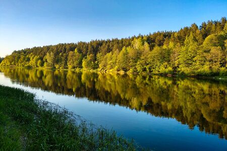 Beautiful river with a forest, the reflection of trees in the water, smooth calm surface of the water without wavesの写真素材