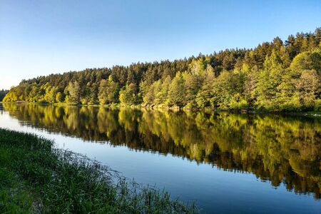 Beautiful river with a forest, the reflection of trees in the water, smooth calm surface of the water without wavesの写真素材