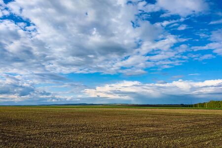 Beautiful landscape with green field and large white cloudsの写真素材