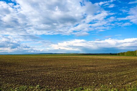 Beautiful landscape with green field and large white cloudsの写真素材