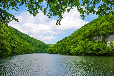 Green forest landscape. Mountain forest. Forest lake in the mountains. Lake view mountain forestの写真素材