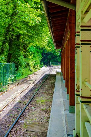 View of the railway station surrounded by forestの写真素材