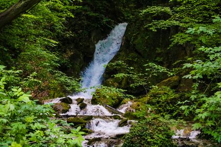 Cascade of a small waterfall flowing through the forestの写真素材