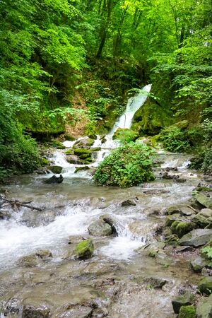 Mountain river flowing through the green forestの写真素材