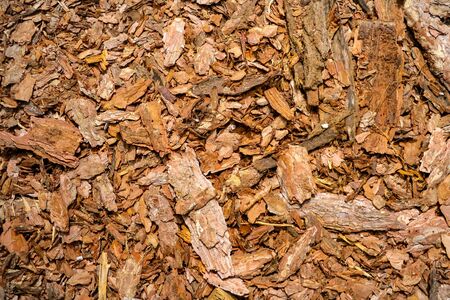 Background from the remains of wood scattered on the groundの写真素材