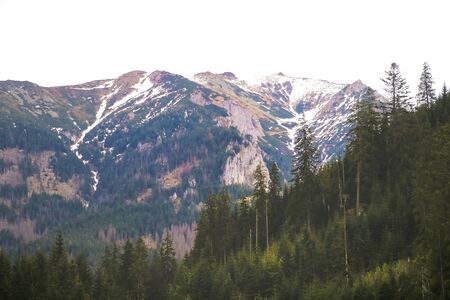 View of the green hills of the mountains in Slovakia on the border with Polandの写真素材