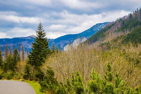 The High Tatras Mountains , are a mountain range along the border of Slovakia in the Presov Region, and southern Poland in the Lesser Poland Voivodeshipの写真素材