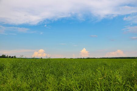 Colorful landscape photo in clear green and blue natureの写真素材