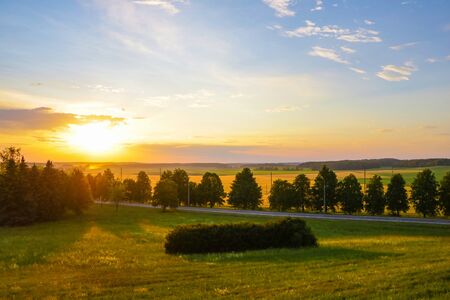 Gloomy dawn in gold field of grass and rural roadの写真素材