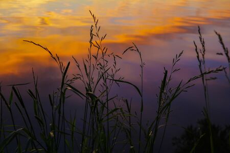 Sunset river sky clouds landscape. River sunset horizon view. Sunset river landscape. River sunset viewの写真素材