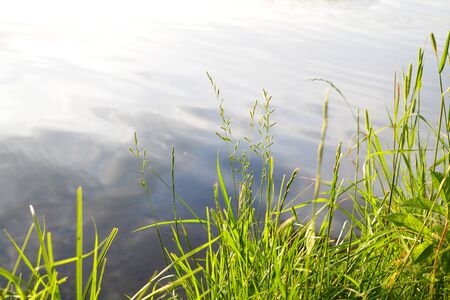 Beautiful nature background, sunset. Summer grass. Wild nature. God. Sun rays Magical backgroundの写真素材