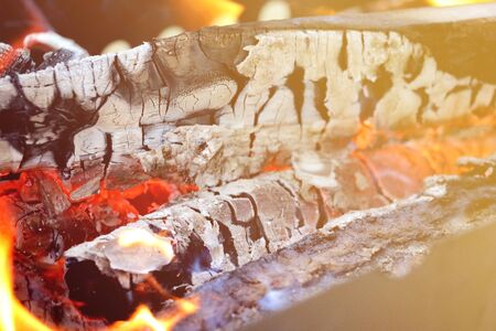 Image of burning wood,fire in the woods, hikingの写真素材
