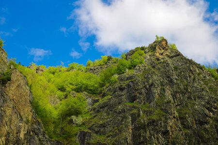 View of the peaks of the mountains, covered with greenery, against the blue skyの写真素材