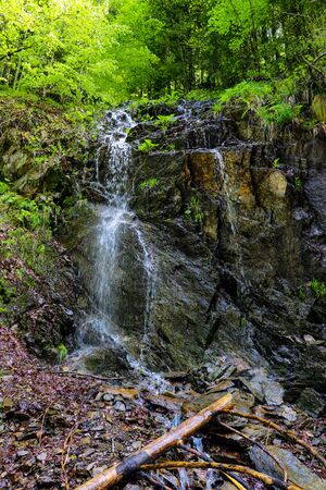 Small waterfall in a humid dark forest in Romaniaの写真素材