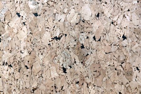 Empty bulletin board, cork board textureの写真素材