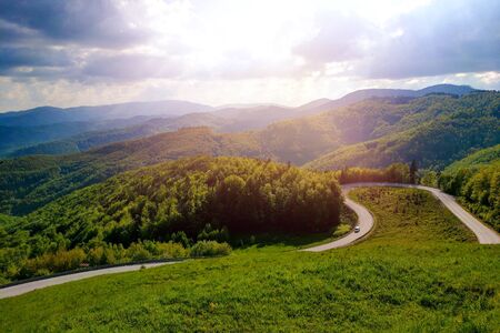 View of curved road running through forest