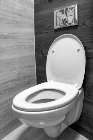 White toilet in modern home, white toilet bowl in cleaning room, flushing liquid in toilet, private toilet in modern roomの写真素材