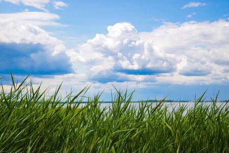 Green trees by the lake on a sunny day, with clouds on the skyの写真素材
