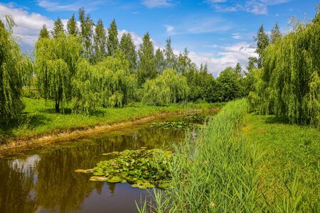 View of a small pond or river on a clear sunny dayの写真素材
