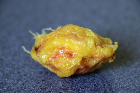 View of the peach bone on the tableの写真素材