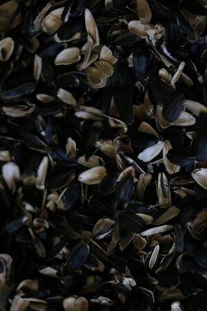 Close-up of peel of sunflower seeds. Waste from seeds backgroundの写真素材