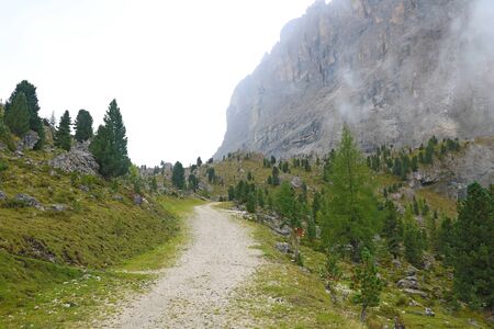 The peaks of the Dolomites in Italy are covered in fog. Early wet foggy morning. Beginning of autumn. Clean fresh air, lack of people. Selective focusの写真素材
