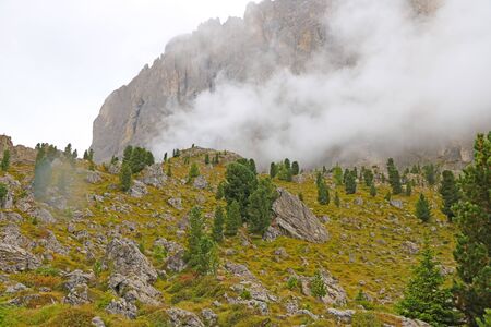 The peaks of the Dolomites in Italy are covered in fog. Early wet foggy morning. Beginning of autumn. Clean fresh air, lack of people. Selective focusの写真素材
