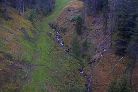 Top view of a small mountain stream, fallen trees and forest, out of focusの写真素材