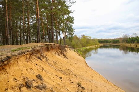 View of the steep banks of the river. The forest is growing. Selective focusの写真素材