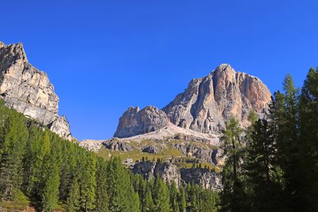 Dolomite Mountains and Forest - Dolomites, Italy, Europe. Out of focusの写真素材
