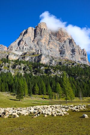 Beautiful summer landscape, fantastic alpine pass and high mountains, Dolomites, Italy, Europeの写真素材