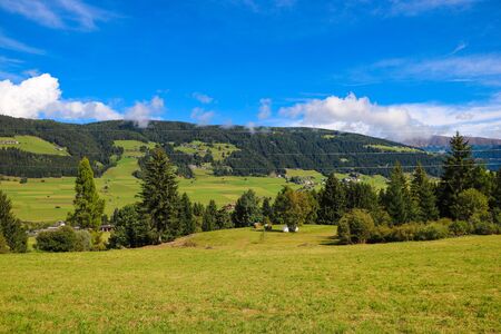 Beautiful alpine meadows on a sunny summer dayの写真素材