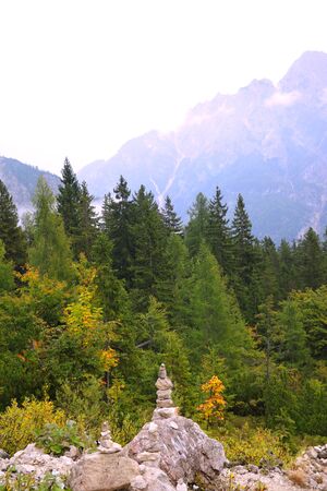 Autumn foggy morning high in the mountainsの写真素材