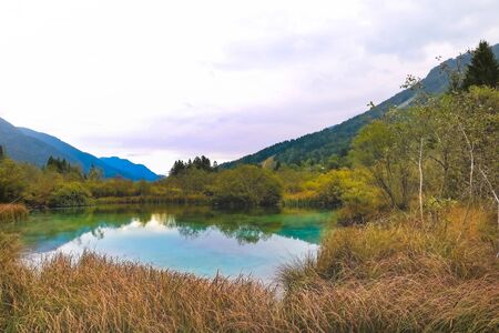 Autumn morning view of Zelenci nature reserve, Slovenia, Europe. Beauty of nature concept backgroundの写真素材